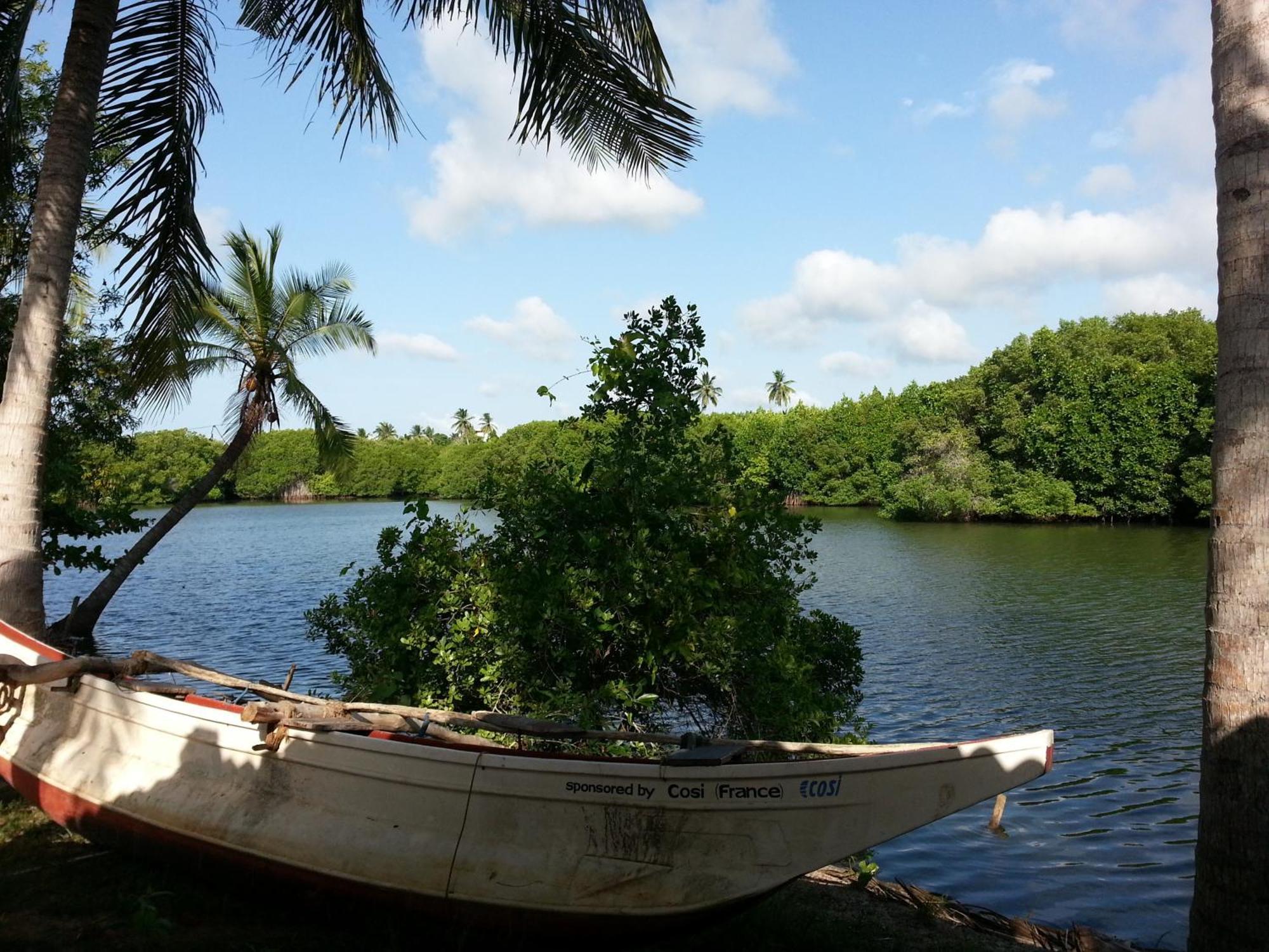 Coconut Island Villa Tangalle Bilik gambar