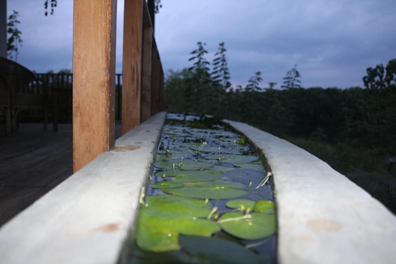 Coconut Island Villa Tangalle Luaran gambar