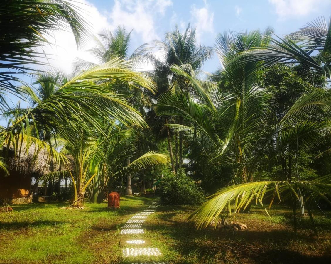 Coconut Island Villa Tangalle Luaran gambar