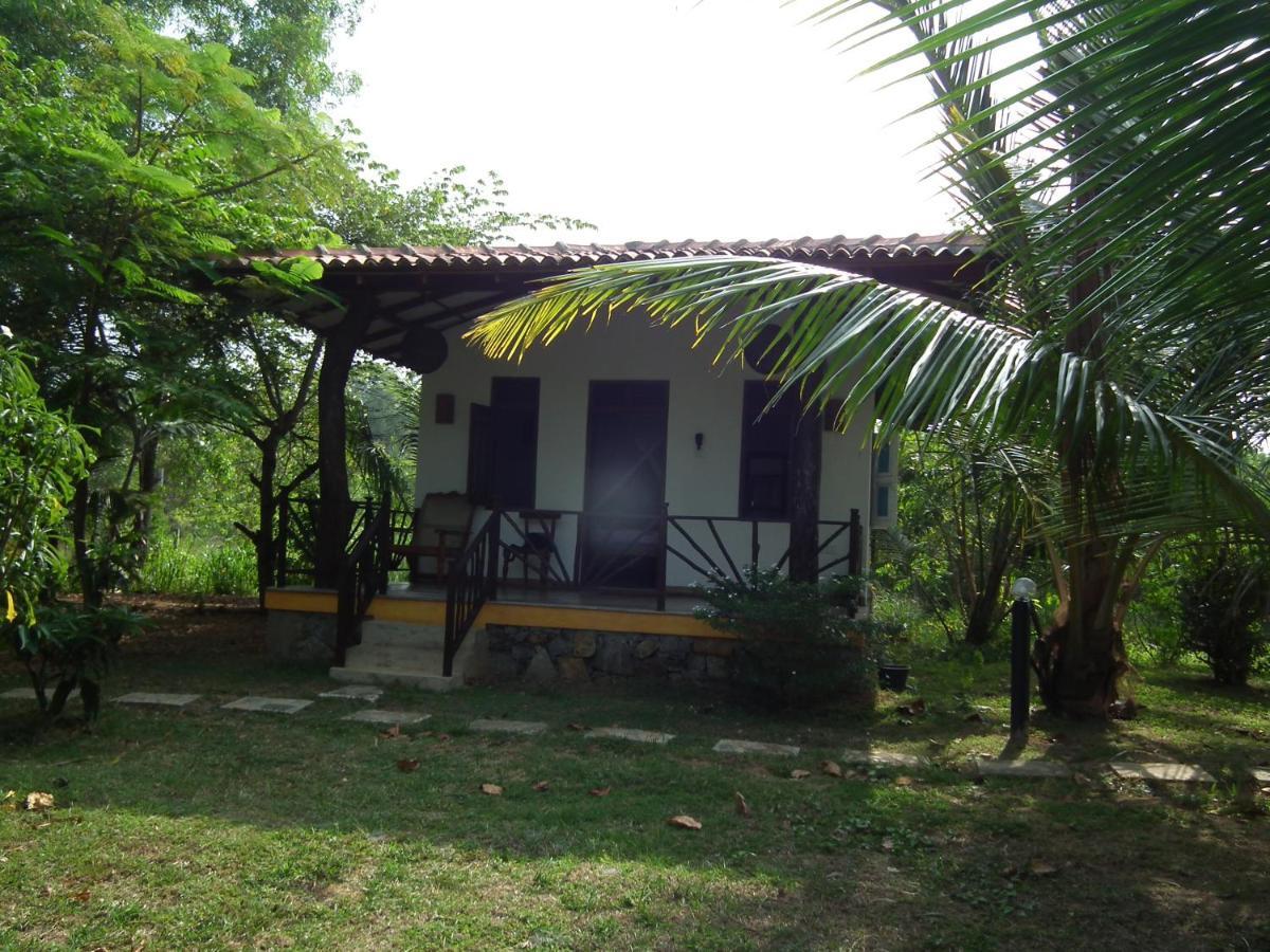 Coconut Island Villa Tangalle Luaran gambar