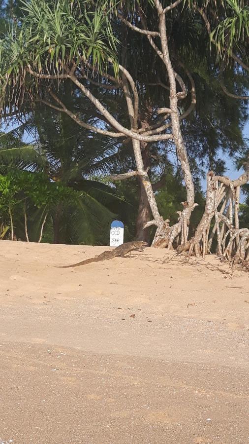 Coconut Island Villa Tangalle Luaran gambar